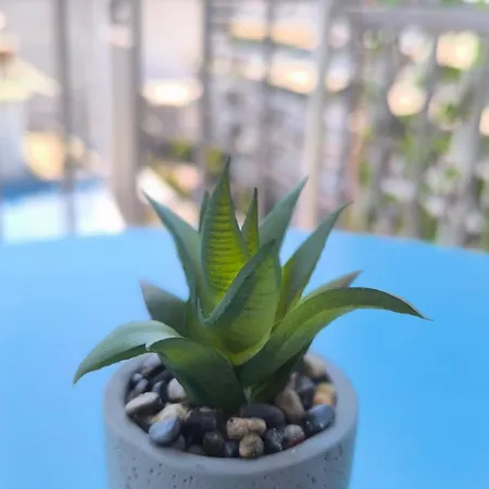View Rooftop Nest * ラリサ