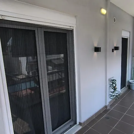 View Rooftop Nest