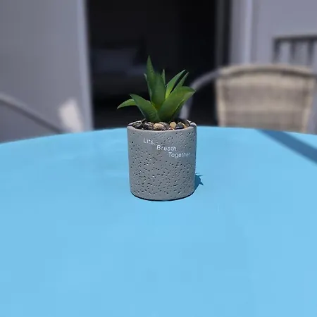 View Rooftop Nest Апартаменты *